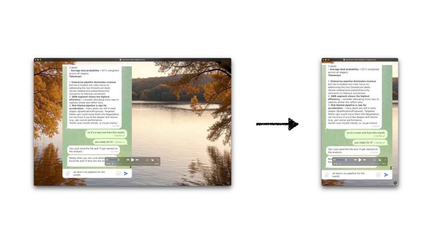 Side-by-side comparison showing a full screen recording with a chat window on the left, and the desired cropped result focusing just on the chat window on the right, with an arrow between them