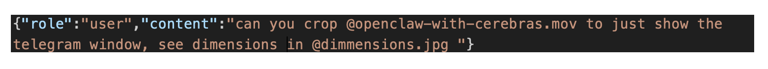 Code snippet showing a user prompt asking Claude to crop a video to show just the telegram window, using dimension references from an image file